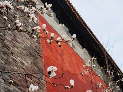 -东华门大街小区