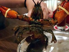 -RED LOBSTER(环球影城大阪店)