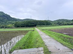 -八卦田遗址公园