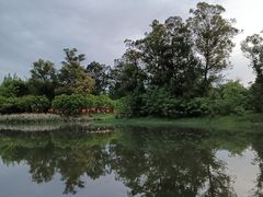 -两河城市森林公园