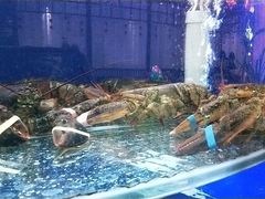 -千叶寿司创意融合料理(水韵城店)