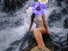 -牛背梁国家森林公园