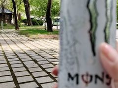 -沈阳植物园
