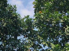 -杭州城北体育公园