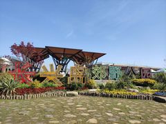 -上海长兴岛郊野公园