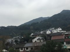 -龙井村
