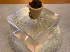 -九献创意菜·牛排馆(亮马河花园店)