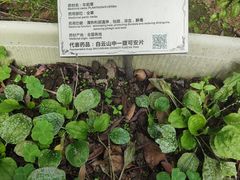 -广州神农草堂中医药博物馆