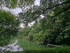 -三水森林公园