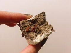 玫瑰糕-爱德顺糕点食屋(利民道店)