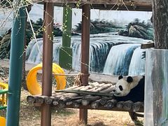 -栾川竹海野生动物园