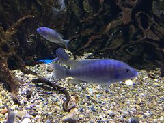 景点-华夏文旅西安度假区