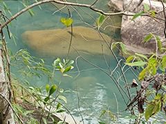 -广州白江湖森林公园