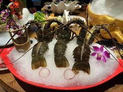 -尚海豆捞(乐虹坊店)