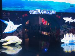 -成都浩海立方海洋公园