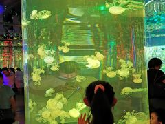 -石家庄海洋公园