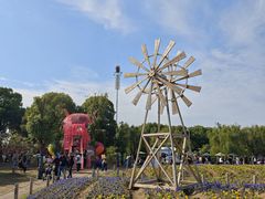 -苏州太湖西山岛开心农场