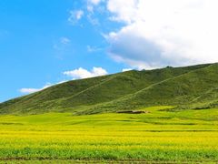 -扁都口生态休闲旅游区