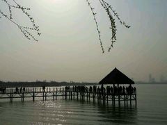 -瑶湖郊野森林公园