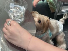 -Dogi&kiki Coffee(中心商务大厦店)