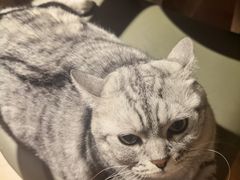 -H立方实景剧情密室(天河旗舰店)