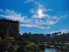 -森波拉奇妙世界