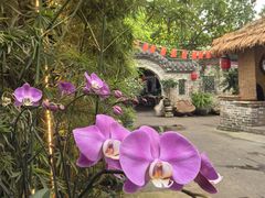 -园林美食城·本土农家菜(杨和镇店)