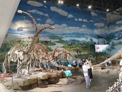-自贡恐龙博物馆