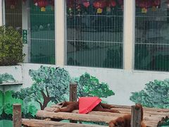 -西霞口神雕山野生动物世界