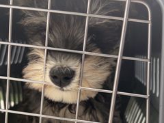 -达爱动物医院·犬猫分区·CT·复杂眼科(远洋山水分院)