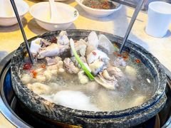 -墨脱石锅椰子鸡•香草鸭•东山羊(大东海店)