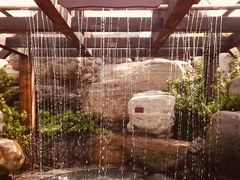 -仁爱团泊湖温泉中心