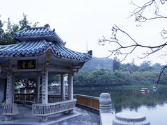 -潮镇老尾牛杂(环城西路店)