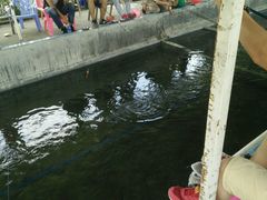 -小象钓虾·营地烧烤(洛溪店)