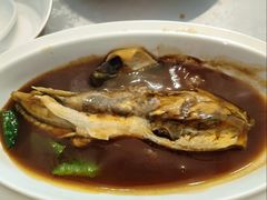 -沈灶河豚宴·河豚融合餐厅(汉中路店)