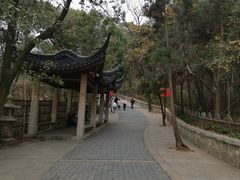 -灵岩山风景区