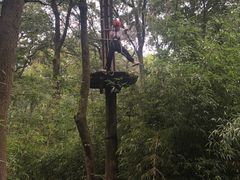 -WeLope紫金山探险公园