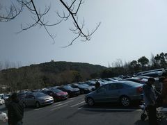 -上海佘山国家森林公园东门地面停车场