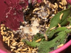 -嘉禾·悦享餐厅(八方汇店)