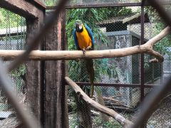 -清迈夜间动物园