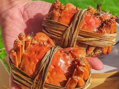 -七的湖·晚芳亭·阳澄湖农家菜·大闸蟹(莲花岛店)