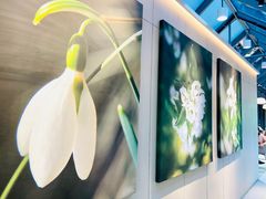 -奈雪的茶(赛格店)