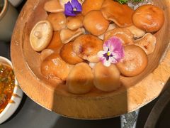 -季季山·云南野生菌火锅(上海首店)