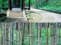 -云栖竹径