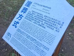 -芦芽山旅游度假区