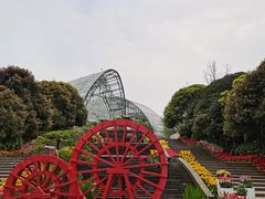 -南山植物园
