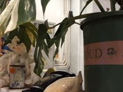 -孟林厨房(798店)