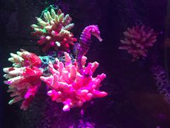 -沈阳海洋探索中心