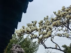 -何园