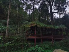 -青城山